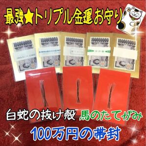 帯封片面タイプ 最強★トリプル金運 お守り