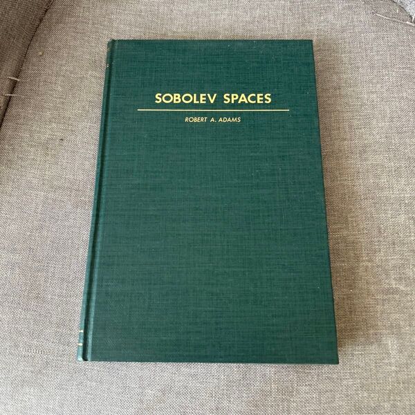 SOBOLEV SPACES