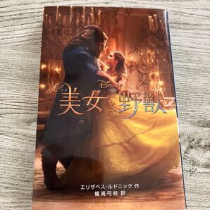 美女と野獣 小説