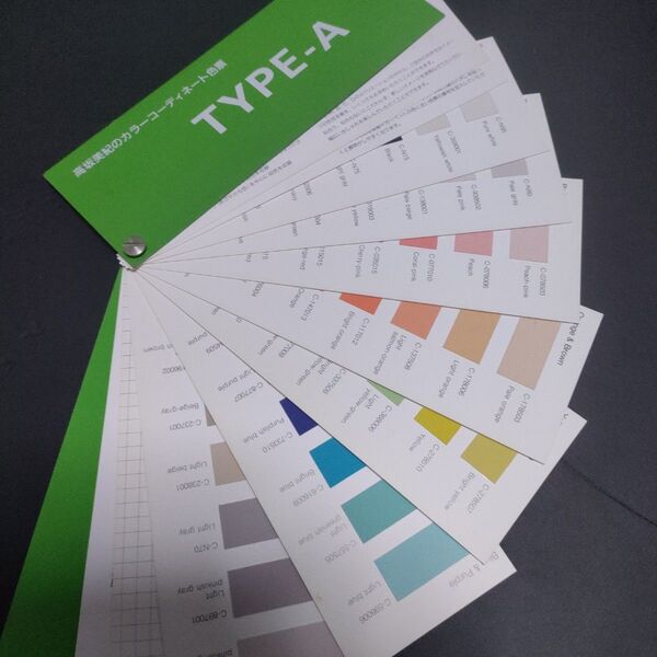 カラーコーディネート色票 パーソナルカラーA-TYPE