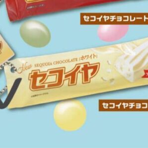 ガチャガチャ ミニチュアチャーム キーホルダー セコイヤチョコレート ミニチュア