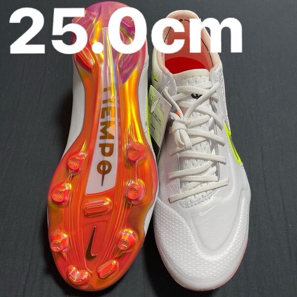 NIKE ティエンポレジェンド9 FG 25cm