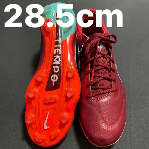 NIKE ティエンポレジェンド9 FG 28.5cm