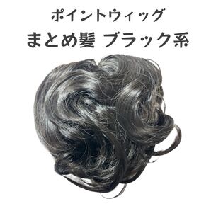 ポイントウィッグ まとめ髪 ブラック系