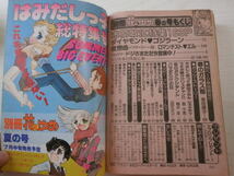 別冊花とゆめ1981年春の号木原敏江/山田ミネコ/坂田靖子/魔夜峰央/宮千恵/山本まゆり/原のり子/佐々木けいこ/　他_画像5