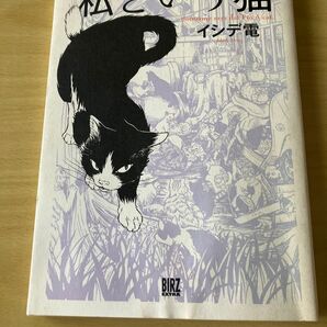 私という猫 イシデ電