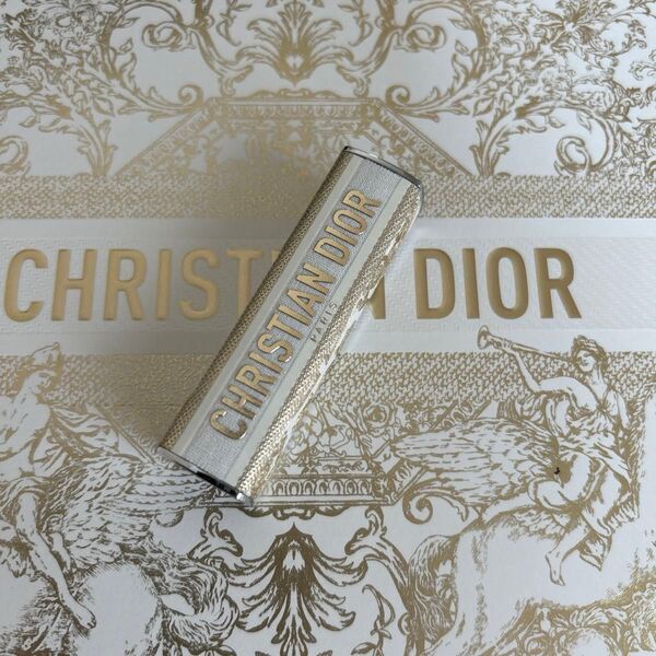 Dior アディクト リップケース チュイルリー