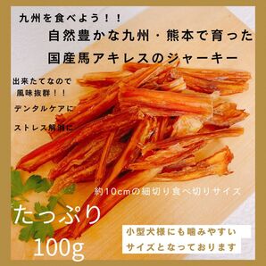 国産 熊本県産馬使用 馬アキレスジャーキー 100g 【10〜15cmほどでカットしております】