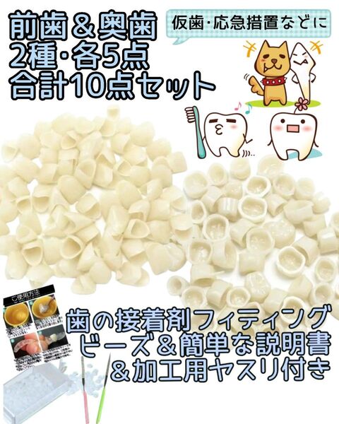 即日発送【お試し2種類】前歯&奥歯・各5点ずつ計10点セット歯の接着剤・加工用ヤスリ・説明書つき