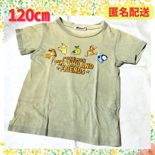 ポケモン キッズ Tシャツ グリーン しまむら ピカチュウ Tシャツ 半袖 半袖Tシャツ