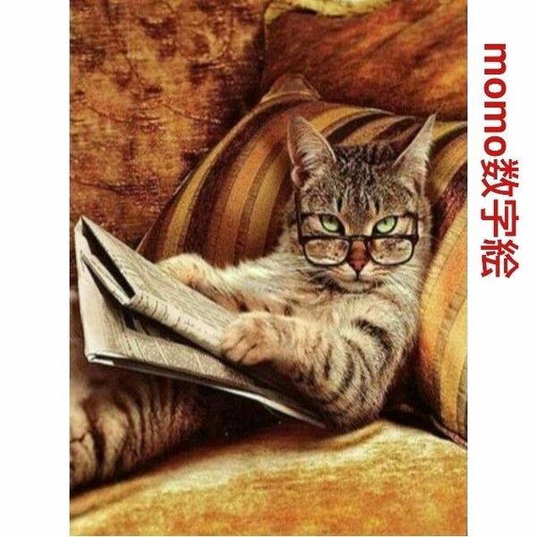 【04C】数字絵 ペイントバイナンバー 油絵 大人の塗り絵