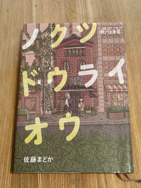 ノクツドウライオウ 靴ノ往来堂 佐藤まどか/著