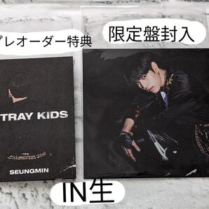 Stray Kids IN生 スンミン プレオーダー