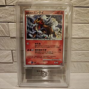 【ARS 10+】結晶塔のエンテイ