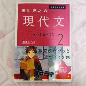 大学入試問題集 現代文 ポラリス2 標準レベル