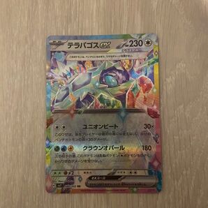 テラパゴスex デンチュラex テラスタル