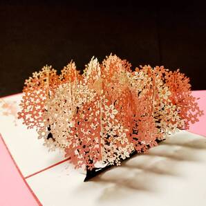 立体カード HANAKO 飛び出すカード 桜並木 花のカード 多目的カード