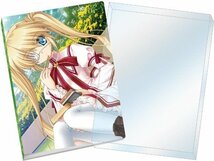 Rewrite フォトアルバム ブロマイドケース 中津静流 小鳥 千里 ルチア 篝 リライト key _画像3