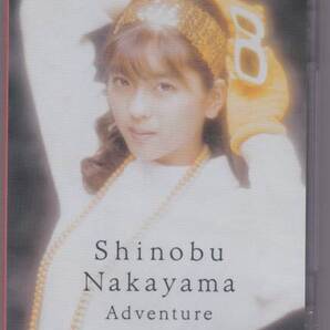 送料込即決【未開封 新品】 DVD ■ 中山忍 ■ Adventure