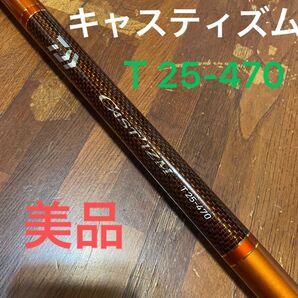 キャスティズムT25-470