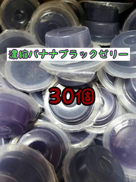 濃縮バナナブラックゼリーワイドS16g 30個 フジコン 昆虫ゼリー オオクワ カブトムシ ヘラクレス ハリネズミ ハムスター 小動物 モモンガ