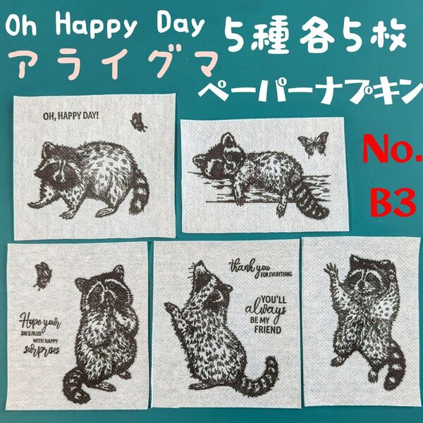 No.B3 アライグマ ペーパーナプキン デコパージュ リメ缶 リメ鉢 ハンドメイド 素材