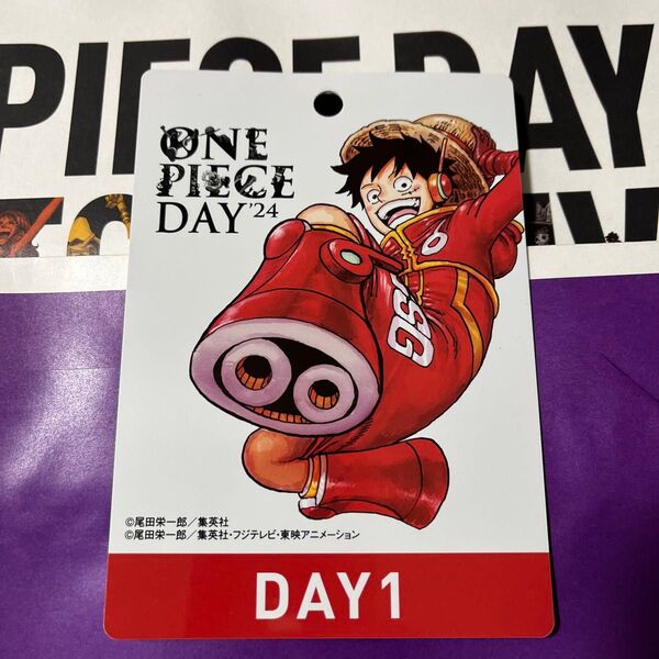 ワンピースデイ'24 入場者パス DAY1