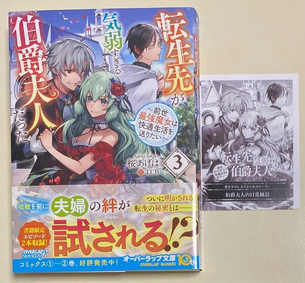 転生先が気弱すぎる伯爵夫人だった3