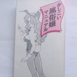 「かしこい風俗嬢マニュアル」著・ 成合緋砂 1995年3月(株)データハウス 初版第3刷発行