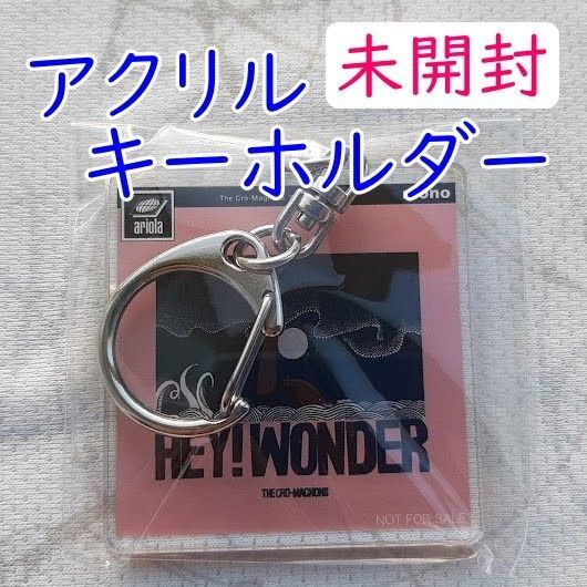 ザ・クロマニヨンズ【楽天ブックス限定先着特典】HEY! WONDER オリジナルアクリルキーホルダー