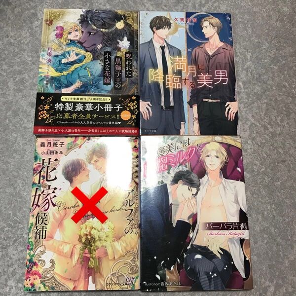 BL 小説 セット 2冊650円〜