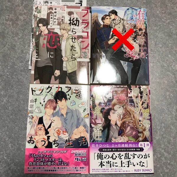 BL 小説 セット 2冊650円〜