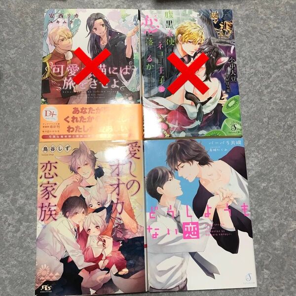 BL 小説 セット 2冊650円〜