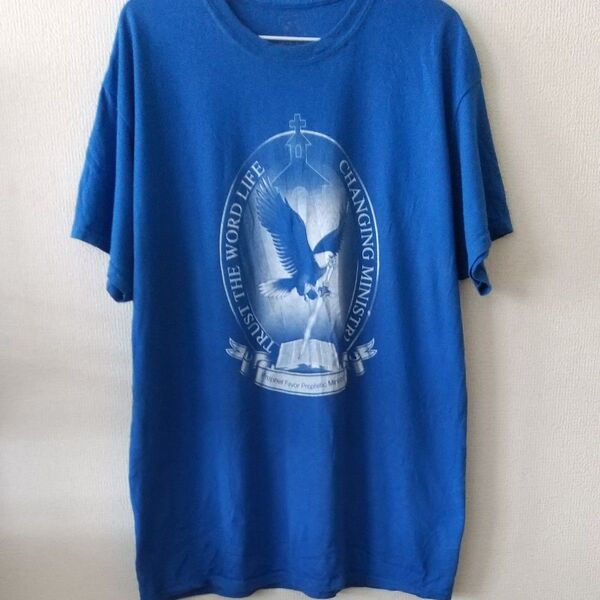 ギルダン Tシャツ 青色 Lサイズ