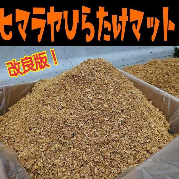 【改良版】ヒマラヤひらたけ菌床クワガタマット☆瓶やプリンカップに詰めるだけ☆オオクワ、ニジイロ、ヒラタ、ノコギリ幼虫が大きくなる!