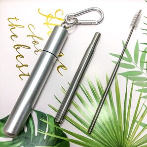 ステンレス製 ストロー 携帯用 シルバー/シルバー ブラシ付き