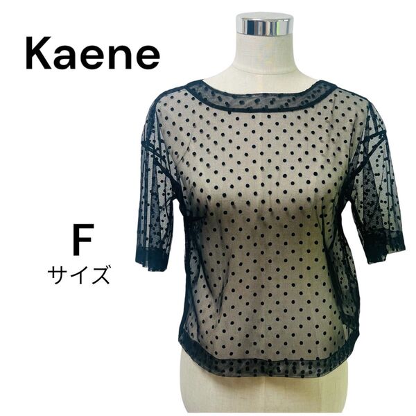 Kaene カエン ドッド柄 ブラウス ブラック シアー リボン シアーブラウス