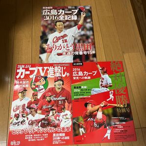 カープ 2016年 全記録
