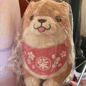 もち柴 ぬいぐるみ