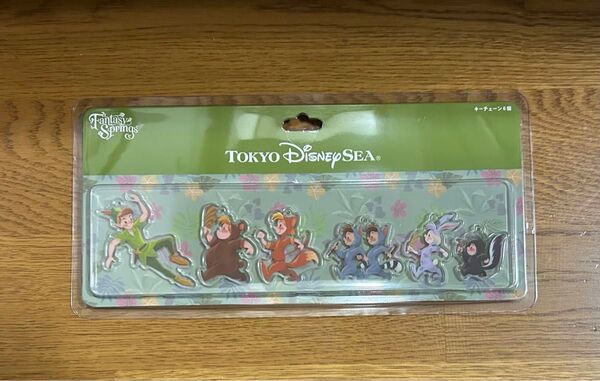 ディズニーリゾート★ピーターパン★キーチェーン 未使用未開封品