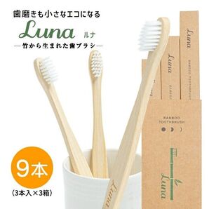 竹から生まれた歯ブラシ 山陽物産 LUNA ルナ 竹ハブラシ 無添加 優