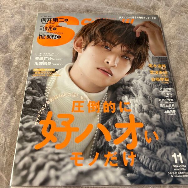 S Cawaii!(エスカワイイ) 2023年11月号 (主婦の友社)
