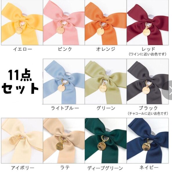 ペンライトリボン 11点セット