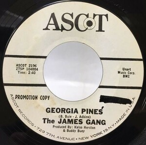 THE JAMES GANG/GEORGIA PINES シングルレコード
