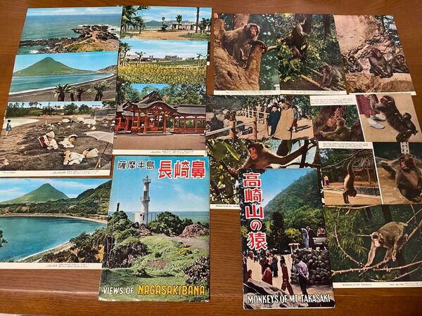 昭和レトロ品 長崎鼻 高崎山の猿 絵葉書 ポストカード