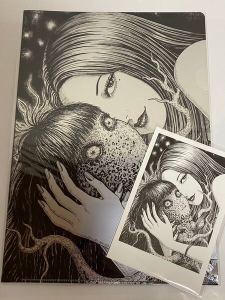 伊藤潤二展 誘惑 富江 チークラブ A4仕切りクリアファイル ポストカード