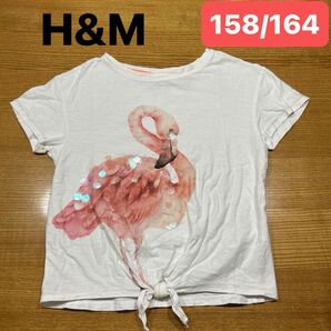 【H&M】(USED)ホワイト スパンコール フラミンゴ柄 裾縛り 半袖Tシャツ 白 158/164