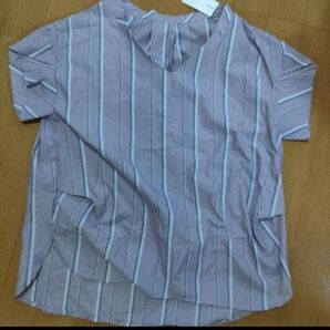 ワールド シャツ 半袖