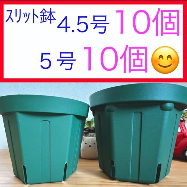 A①③ スリット鉢お得セット★【4.5号10個】【5号10個】