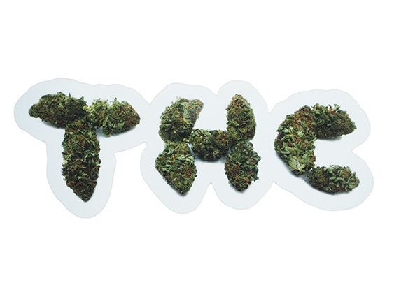 THC ステッカー 420 ボング アムステルダム hemp ヘンプ カンナビス マリファナ ガンジャ 大麻 high times ハイタイムズ kush bong c221